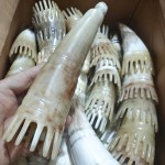 Horn Comb Manufacturer - Beauty Salon Meridian Shampoo