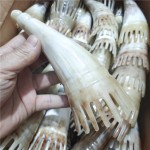 Horn Comb Manufacturer - Beauty Salon Meridian Shampoo