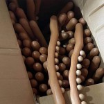 Massage Stick Supplier - 8 Beads GuaSha Therapy Wand