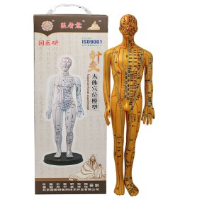 Acupuncture Model Supplier - Pressure Point Meridians Manikin