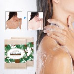 Coconut Soap Factory - Body Wash Scrub Cleansing OEM