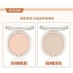 Powder Foundation Manufacturer - Oil Control Whitening Waterproof
