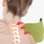 Wormwood Knee Patch Manufacturer - Best Selling for Mouth Nasal Body Patches