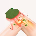 Wormwood Knee Patch Manufacturer - Best Selling for Mouth Nasal Body Patches