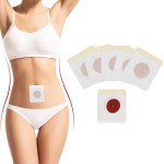 Magnet Navel Patch Supplier - Top Ranked Weight Loss Belly Patch