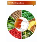 Belly Slim Patch Manufacturer - Top Selling Weight Loss Detox Slimming