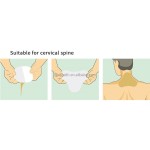 Herbal Knee Sticker Factory - OEM Natural Ingredients Transdermal Royal