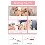 Eyelash Extension Patches Manufacturer - Top Selling Custom Under Eye Patches