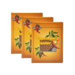 Capsicum Plaster Factory - Hot New 2024 Sold Rheumatism Hot Tiger Chili