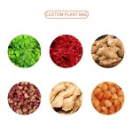 Female Health Patch Factory - Chinese Herbal Palace Warm Waist Compress