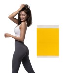 Navel Slimming Patch Supplier - Customized Body Slimming