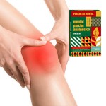 Hot Pain Patch Factory - Capsicum Relief Plaster OEM