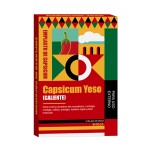 Pain Relief Patch Manufacturer - Adhesive Porous Capsicum