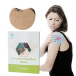 Shoulder Pain Patch Factory - Natural Herbal Back Relief