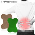 Lumbar Spine Patch Manufacturer - Herbal Wormwood Multi-Use