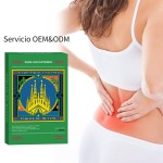 Camphor Plaster Supplier - Natural Herbal Lumbago Relief