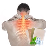 Menthol Pain Patch Factory - Neck Shoulder Chinese Herbal