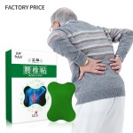 Lumbar Spine Patch Manufacturer - Herbal Wormwood Multi-Use