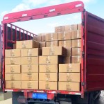 Ear Wax Pick Supplier - Electric Suction Dig Spoon