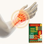 Capsicum Plaster Manufacturer - Neck Stiff Shoulder Custom