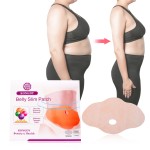 Sleep Belly Patch Manufacturer - Herbal Abdomen Slim 5PCS