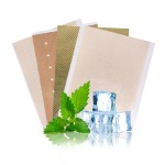 Menthol Pain Patch Supplier - Capsicum Plaster Shoulder Hot