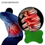 Herbal Pain Patch Manufacturer - Lumbar Spine Pain Relief OEM