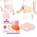Sleep Belly Patch Manufacturer - Herbal Abdomen Slim 5PCS
