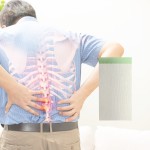 Pain Relief Patch Supplier - Back Neck Shoulder Knee Relief