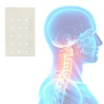 Muscle Pain Patch Supplier - Knee Pads Back Relief Price