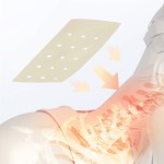 Herbal Pain Patch Factory - Shoulder Back Relief Free Sample