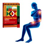 Pain Relief Patch Manufacturer - Adhesive Porous Capsicum