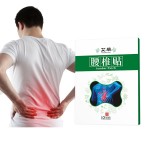 Herbal Pain Patch Manufacturer - Lumbar Spine Pain Relief OEM