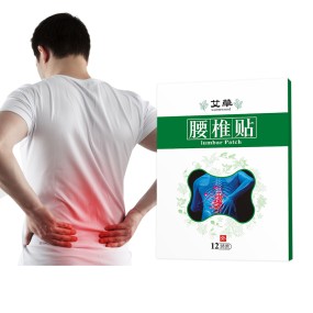 Herbal Pain Patch Manufacturer - Lumbar Spine Pain Relief OEM