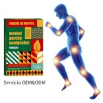 Hot Pain Patch Factory - Capsicum Relief Plaster OEM