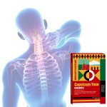 Capsicum Plaster Factory - Natural Herbal Breathable Skin