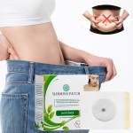 Navel Patch Manufacturer - Wonder Slim Diet Pad