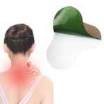 Wormwood Plaster Manufacturer - Cervical Lumbar Spine Pain Relief