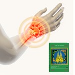 Camphor Plaster Supplier - Natural Herbal Lumbago Relief