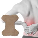 Lumbar Spine Patch Manufacturer - Herbal Wormwood Multi-Use