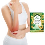 Capsicum Plaster Factory - Natural Herbal Knee Relief