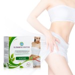Weight Loss Patch Factory - Professional Fast OEM Service