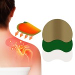 Shoulder Pain Patch Factory - Natural Herbal Back Relief