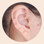 Ear Point Stickers Supplier - Ear Seeds Acupuncture Pressure