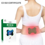 Lumbar Spine Patch Manufacturer - Herbal Wormwood Multi-Use
