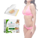 Magnet Slim Patch Manufacturer - Beauty Personal Care