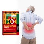 Pain Relief Patch Manufacturer - Adhesive Porous Capsicum