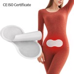 Menstrual Patch Supplier - Women Cramp Relief Heat Pack