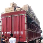 Multivitamin Patch Supplier - Vitamin C Energy CE Certified