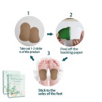 Detox Foot Patch Supplier - Ginger Wormwood Health